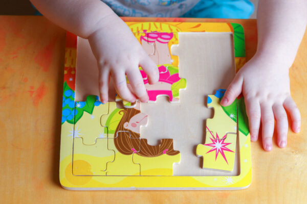 Jig Saw Puzzle